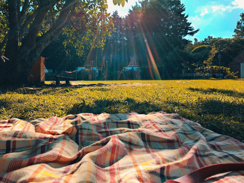 picnic blanket on grass