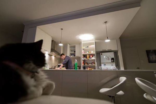 man in kitchen, cat in foreground