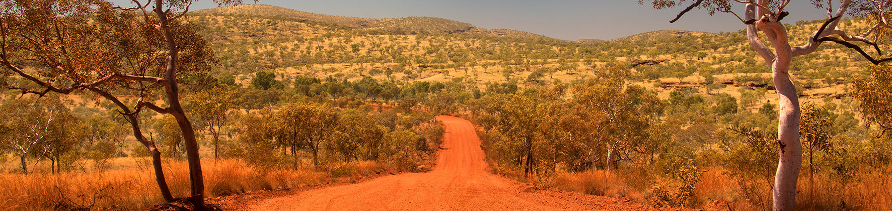 A red dirt track in an Australian outback setting