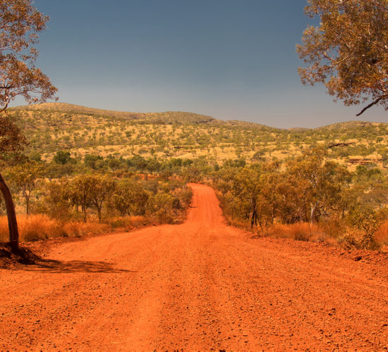A red dirt track in an Australian outback setting