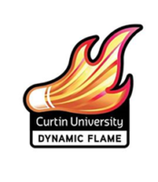 Dynamic Flame Badminton Club