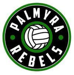 Palmyra rebels