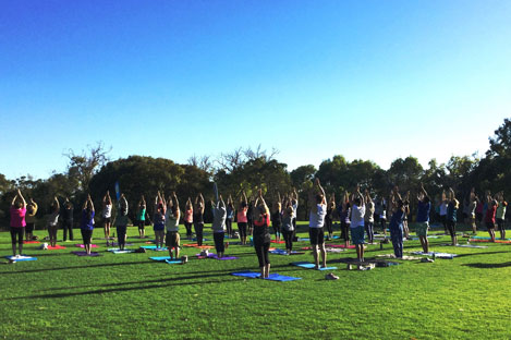 Active in the Park - Yoga (Melville) - Act Belong Commit